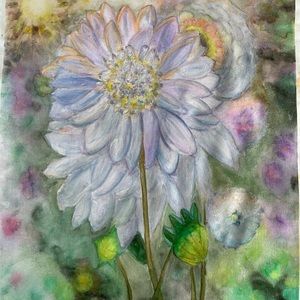 Meet your Posher, Robin